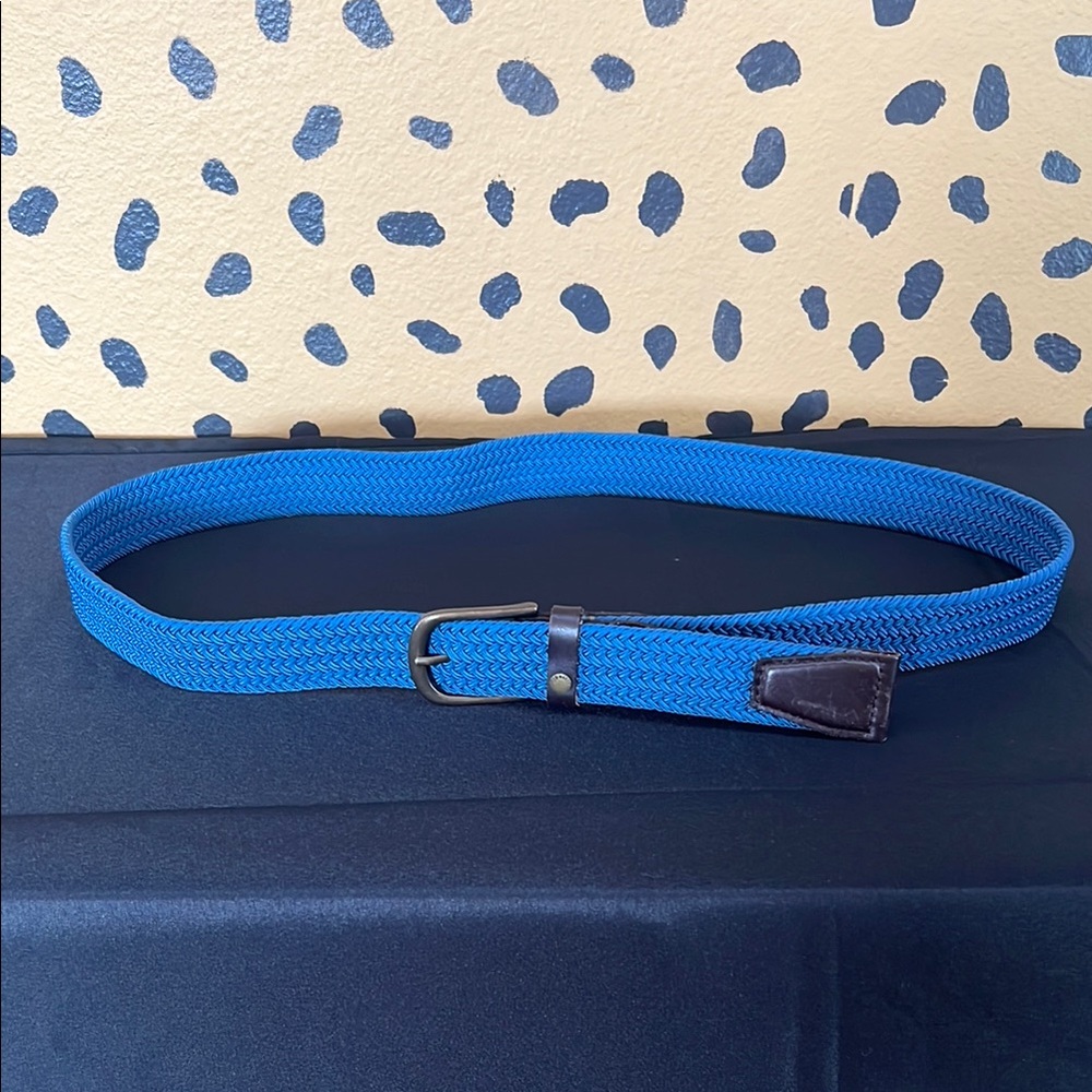 Ted Baker Men's Blue Woven Belt